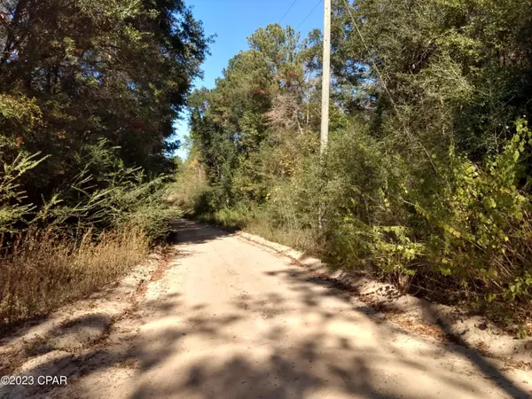 Bonifay, FL 32425,0 Little John LN