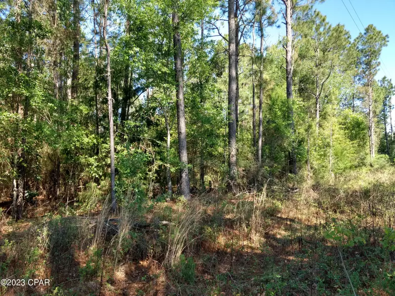 TBD Little John LN, Bonifay, FL 32425