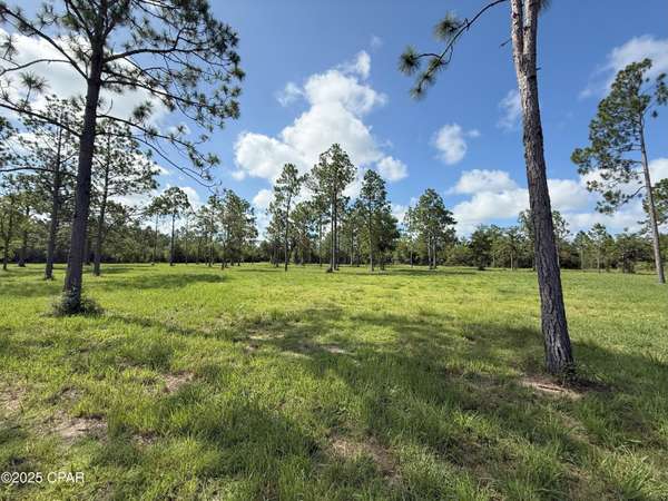 0 Petty RD #Parcel B, Marianna, FL 32448