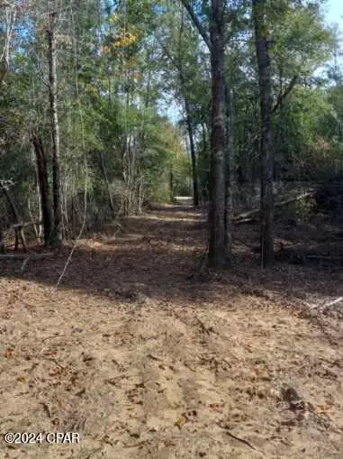 Altha, FL 32421,00 Tommy Tucker RD #Lot 5