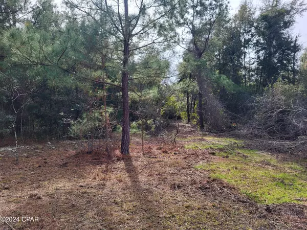 Altha, FL 32421,00 White Pond CIR #Lot 11