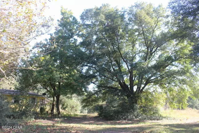 3189 Johnson RD, Bonifay, FL 32425