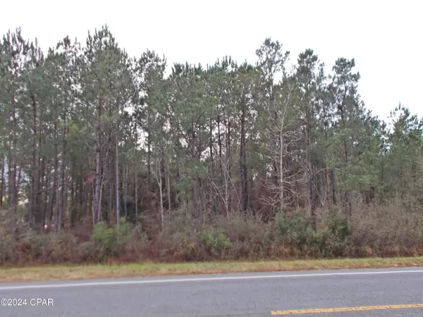 Marianna, FL 32446,2429 Bridgecreek RD