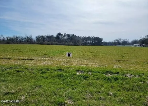 Lot #2 Tri County RD, Graceville, FL 32440