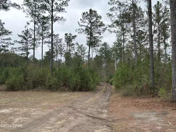 Bonifay, FL 32425,Tract 6410 W Douglas Ferry RD #1,2,3