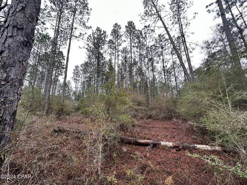 Tract 6418 S Mattox Springs RD #1, Caryville, FL 32427