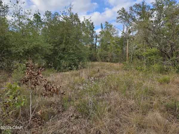 Lot 109 Leisure Lakes DR, Chipley, FL 32428