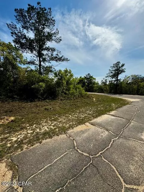 Chipley, FL 32428,Lot 1 Millwood PL