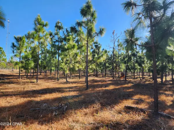 Hosford, FL 32334,XX Big Creek Road