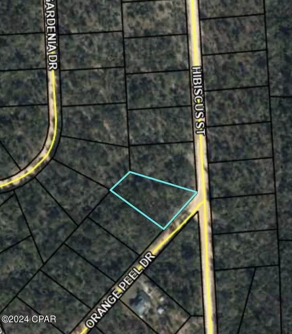 0 Orange Peel ST, Marianna, FL 32448