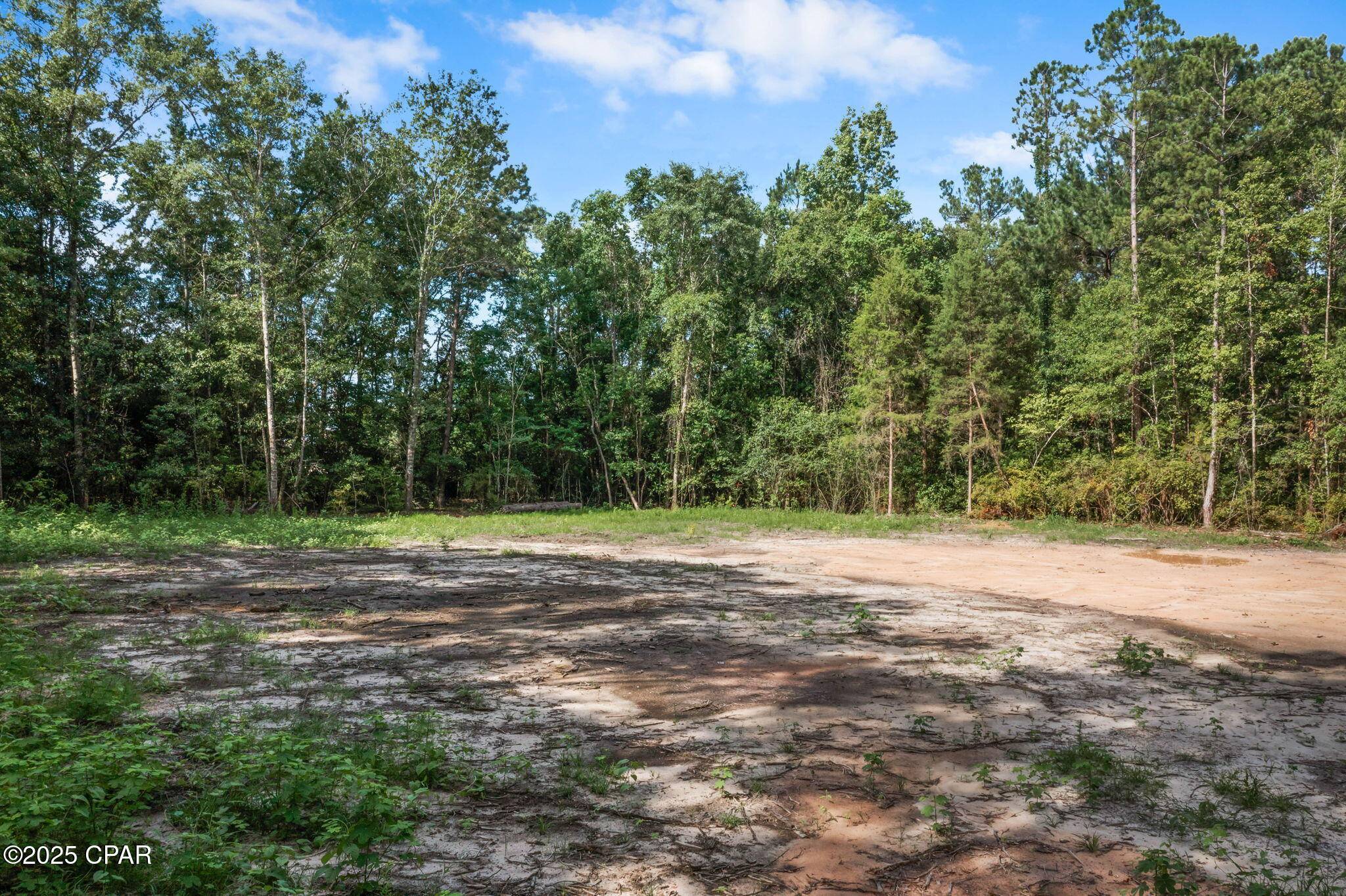 Chipley, FL 32428,XXX Sinclair ST