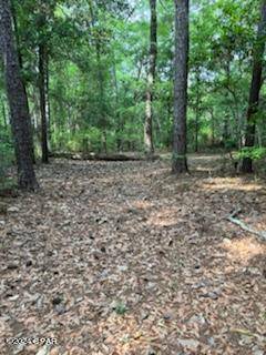 Chipley, FL 32428,000 Magnolia DR
