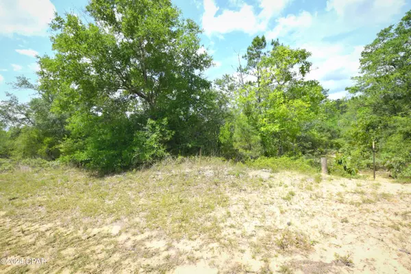 Chipley, FL 32428,TBD Lot 40 Bluestone DR