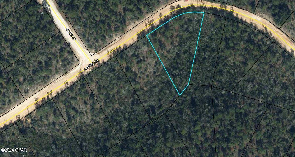 Alford, FL 32420,00000 Laurel DR