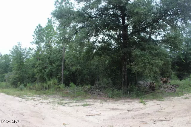 0 N Sally Jean RD, Defuniak Springs, FL 32433