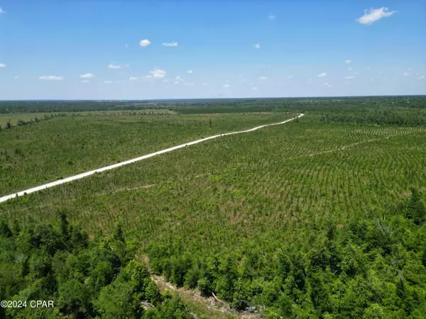 Clarksville, FL 32430,Lot 2 NW KB Jones Rd RD