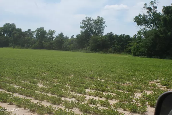 Greenwood, FL 32443,0 Willis RD