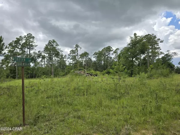 Alford, FL 32420,000 Crotan DR