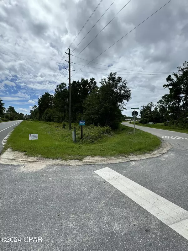 Wewahitchka, FL 32465,0 Doc Whitfield RD