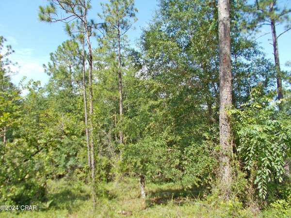 Lot 10 Castle CIR, Alford, FL 32420