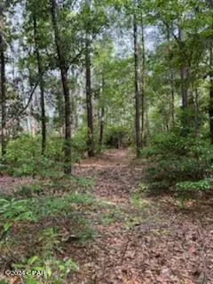 Chipley, FL 32428,Lot 20 Magnolia DR
