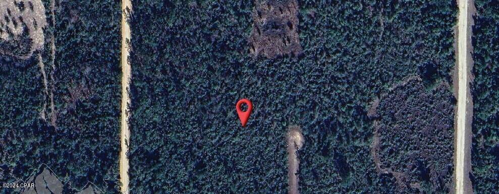 0 Iris CT, Alford, FL 32420
