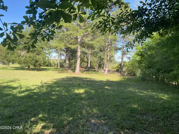 Bonifay, FL 32425,2338 Sweetgum DR