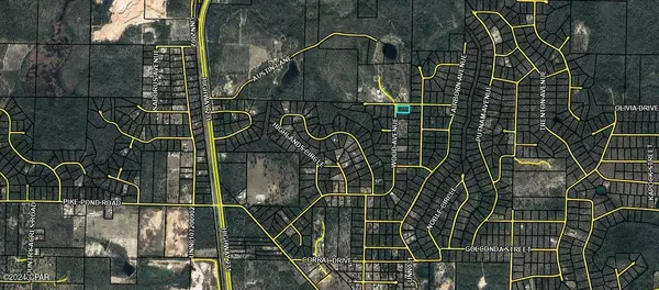 Alford, FL 32420,Lot 1 Wood AVE