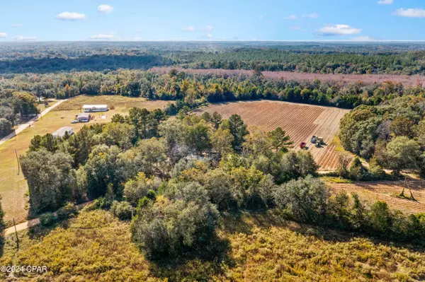 Bonifay, FL 32425,XXX Leamon Smith RD