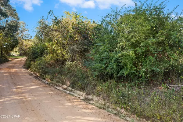 Bonifay, FL 32425,XXX Leamon Smith RD