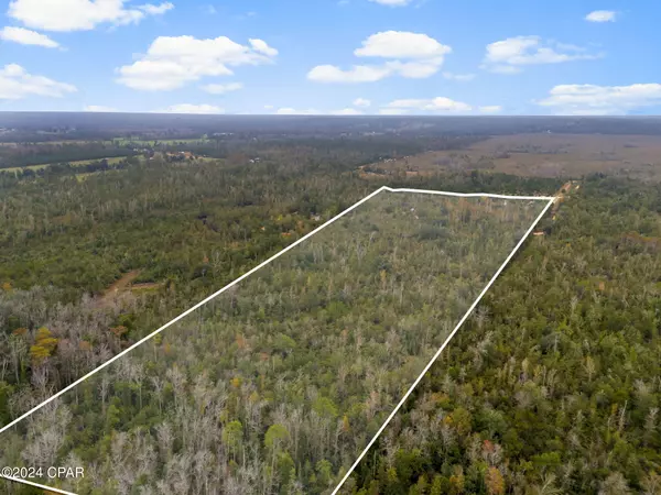 Alford, FL 32420,TBD Eagle TRL