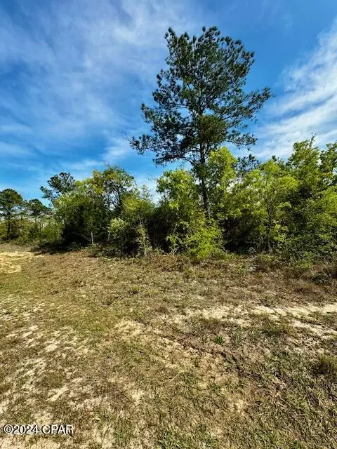 Chipley, FL 32428,Unit 9 Lot 1 Millwood PL