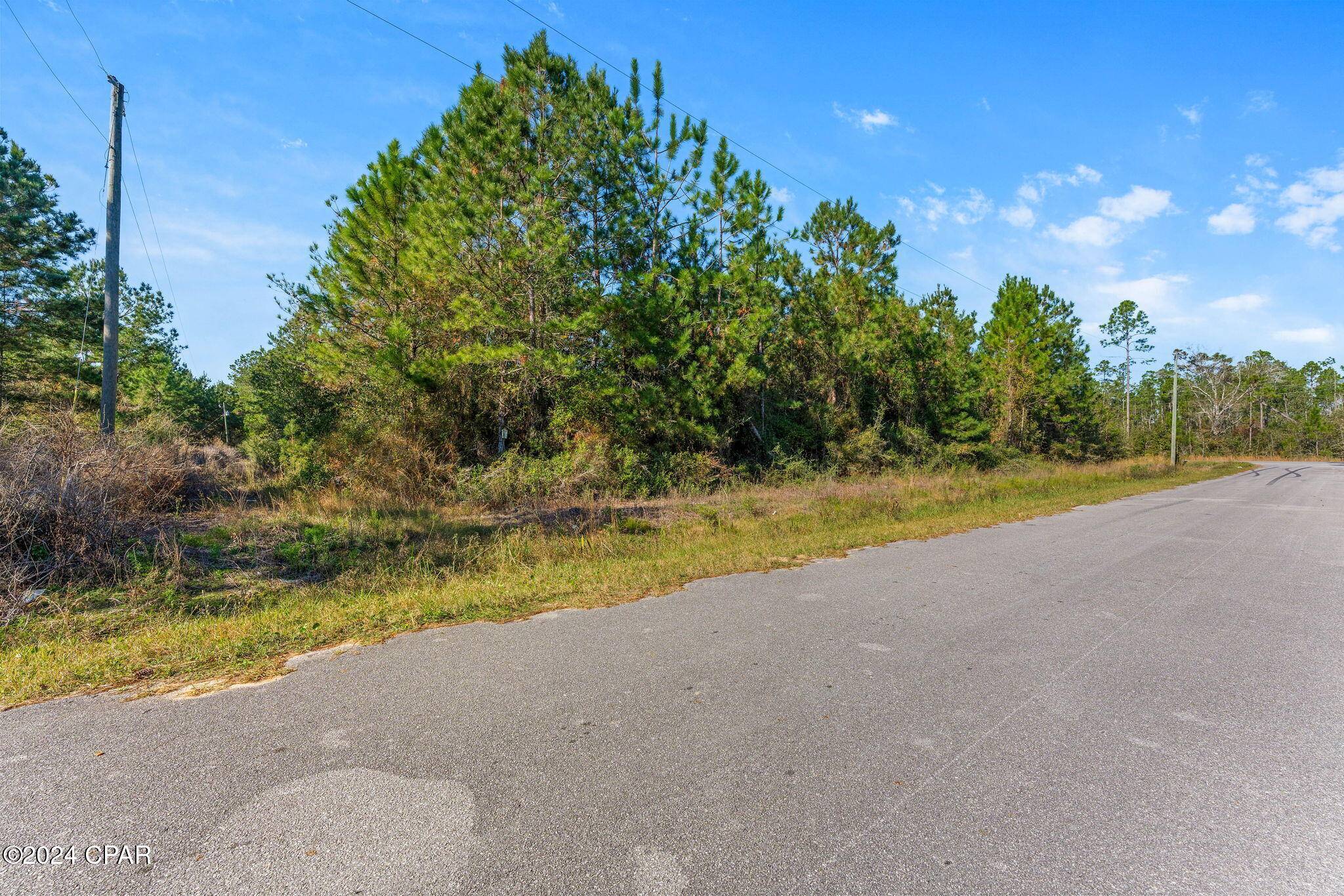 Wewahitchka, FL 32465,TBD Luke Ford RD