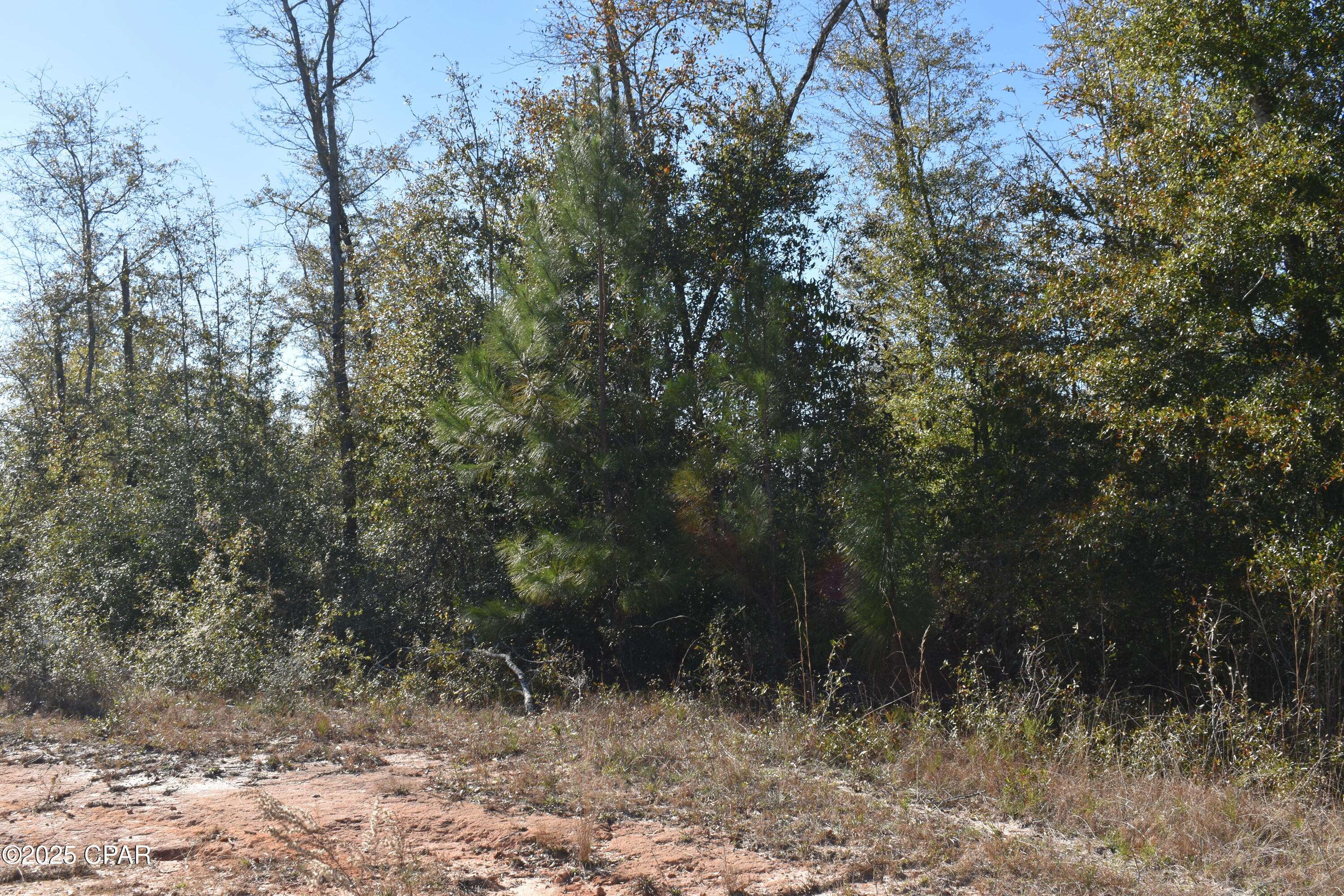 TBD Grand Mesa AVE, Alford, FL 32420