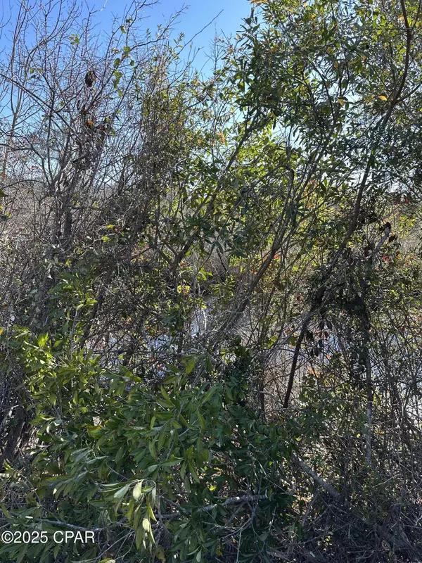 Youngstown, FL 32466,31 Indian Bluff DR