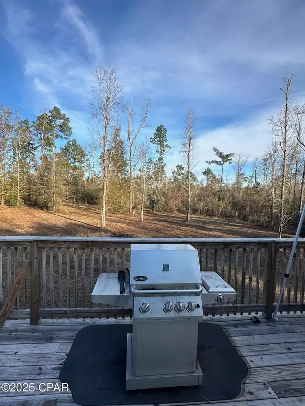 Marianna, FL 32448,2504 Mildred LN