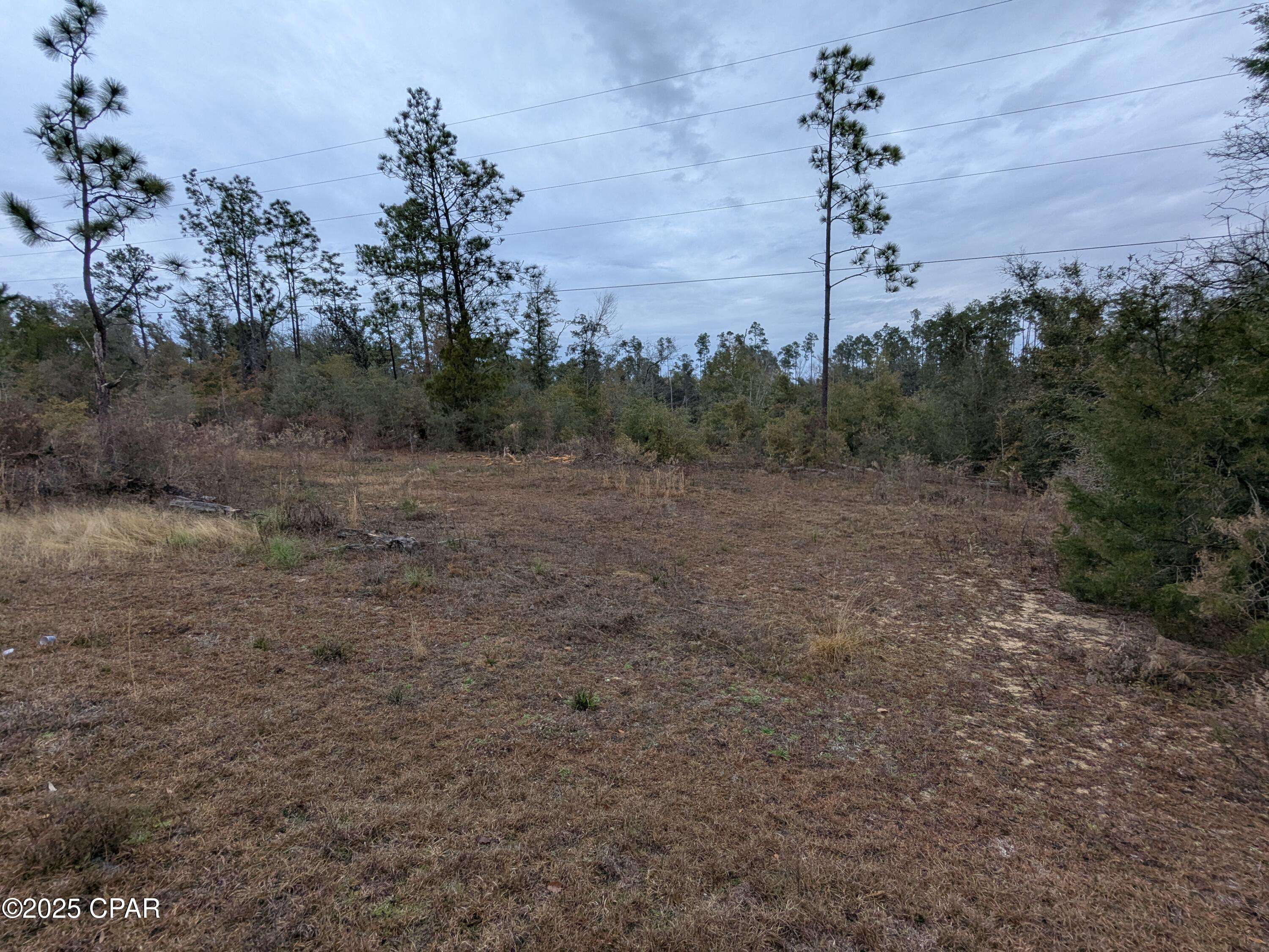 Alford, FL 32420,0 Compass Lake DR