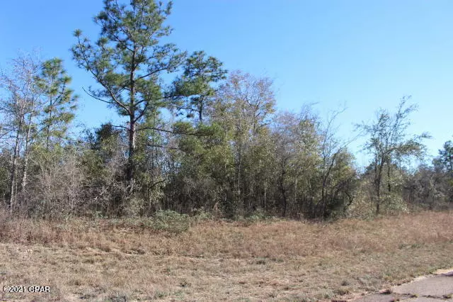 Chipley, FL 32428,0 Hanford ST #Lot 14
