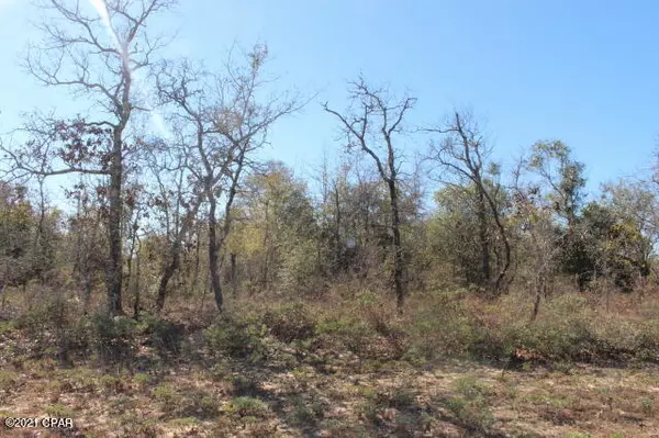 0 Dumont AVE #LOT 5, Chipley, FL 32428