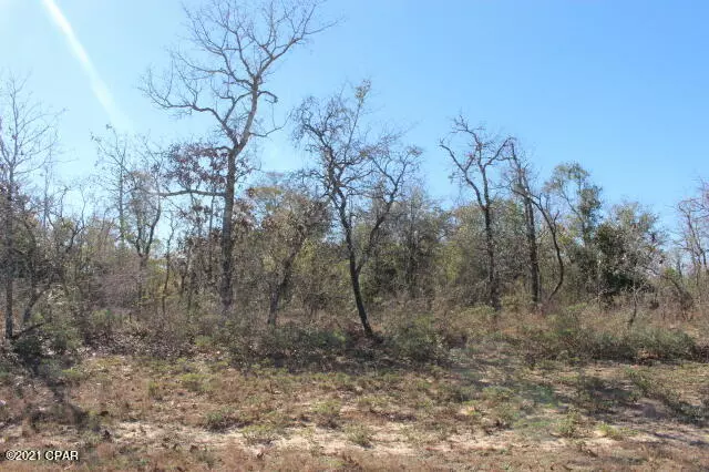 Chipley, FL 32428,0 Dumont AVE #Lot 7
