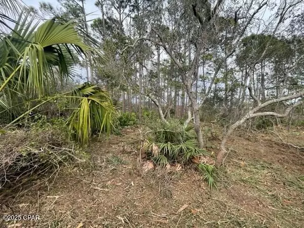 Cape San Blas, FL 32456,Lot 6 Cape San Blas Rd