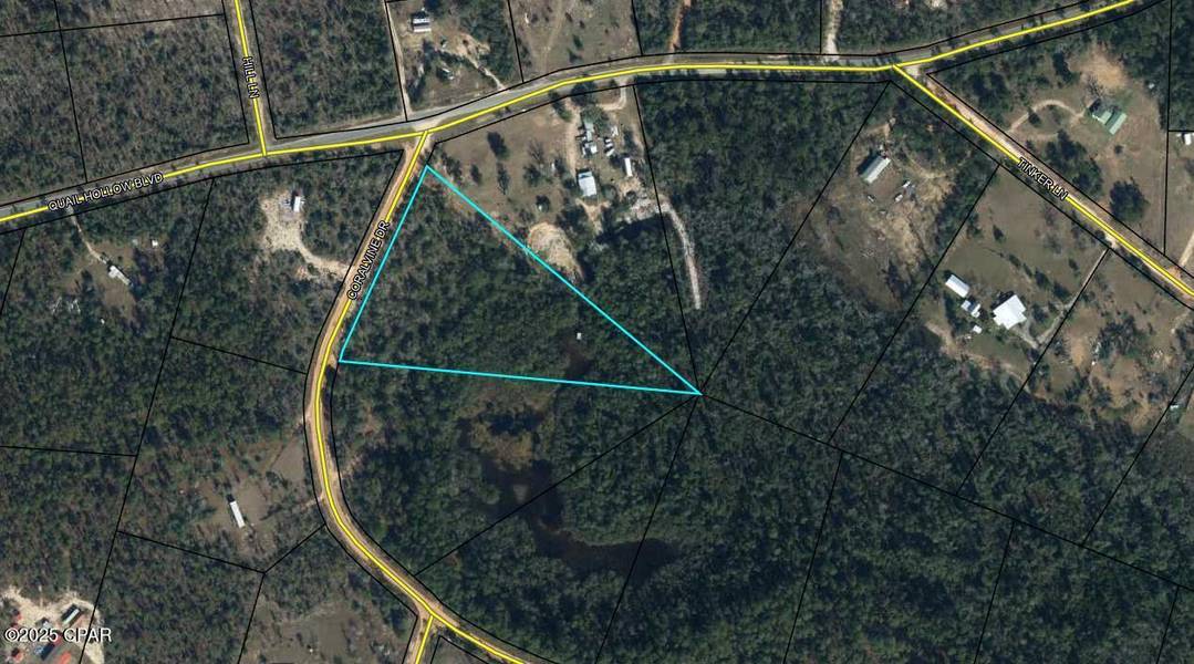 TBD Coralvine, Chipley, FL 32428