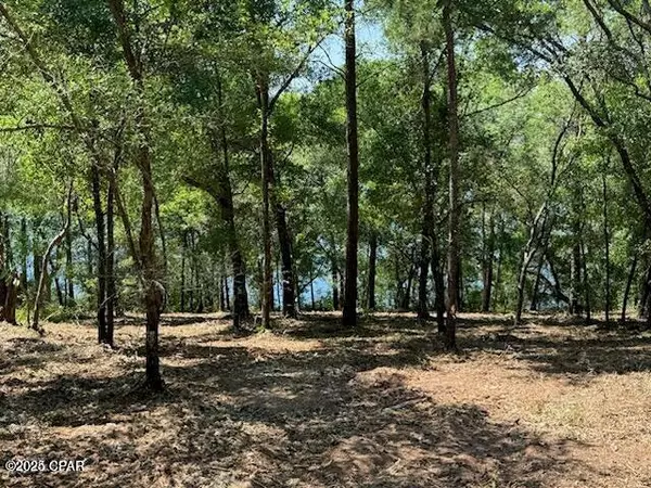 Chipley, FL 32428,TBD Dove Court
