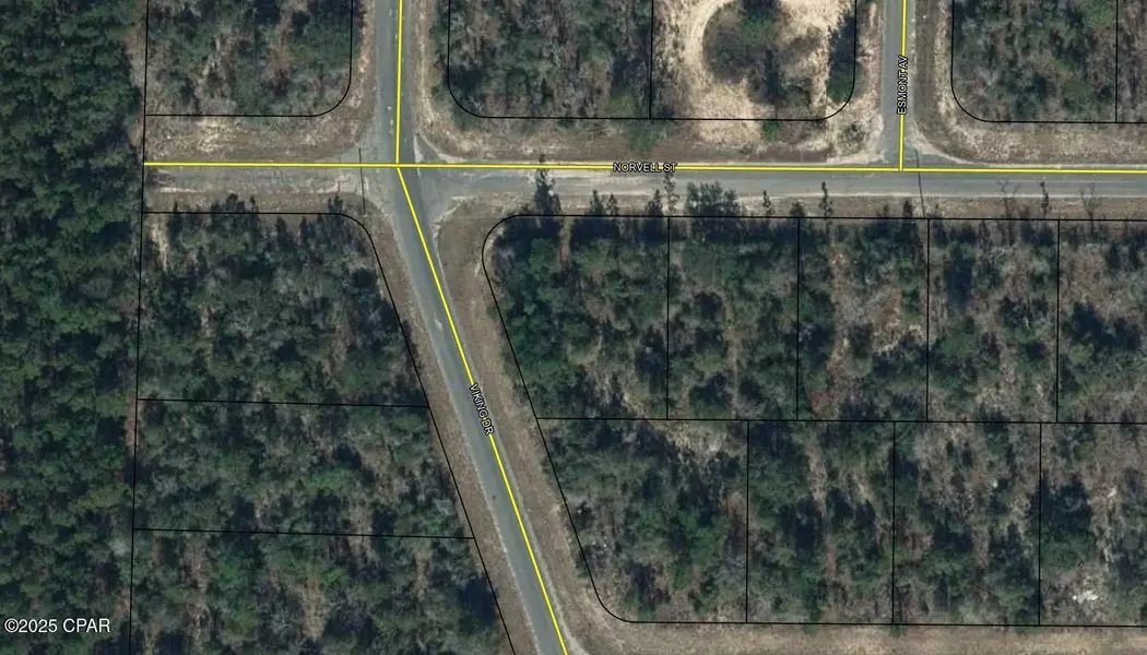 Lot 1 Norvell ST, Chipley, FL 32428