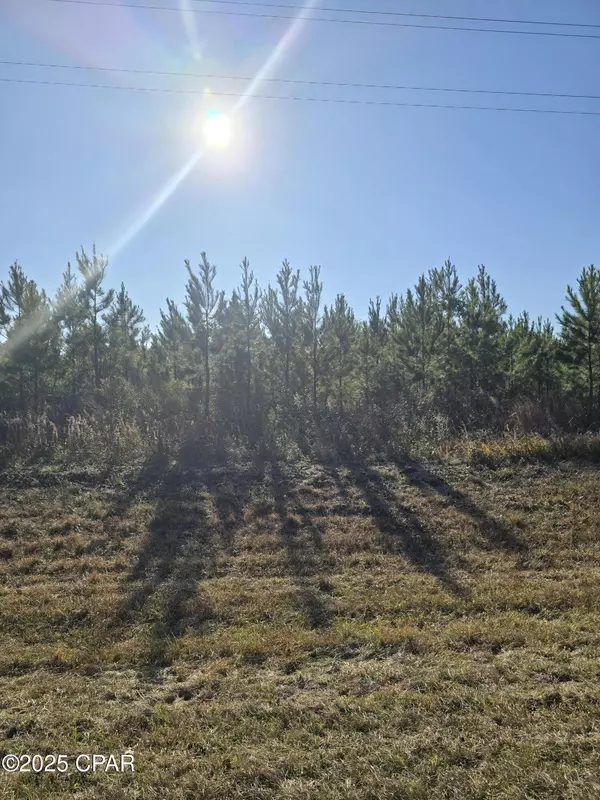 Cottondale, FL 32431,TBD Lot 4 Peanut RD