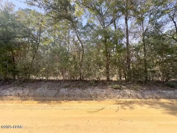 XXX Bryant Bay RD, Caryville, FL 32427