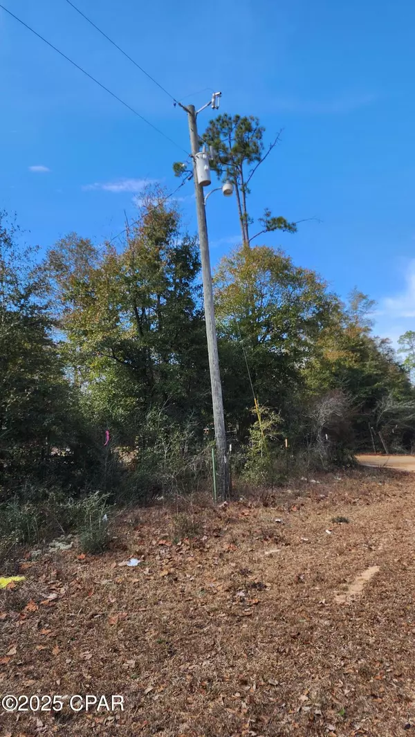 Alford, FL 32420,0 Breese CT #Lot 29