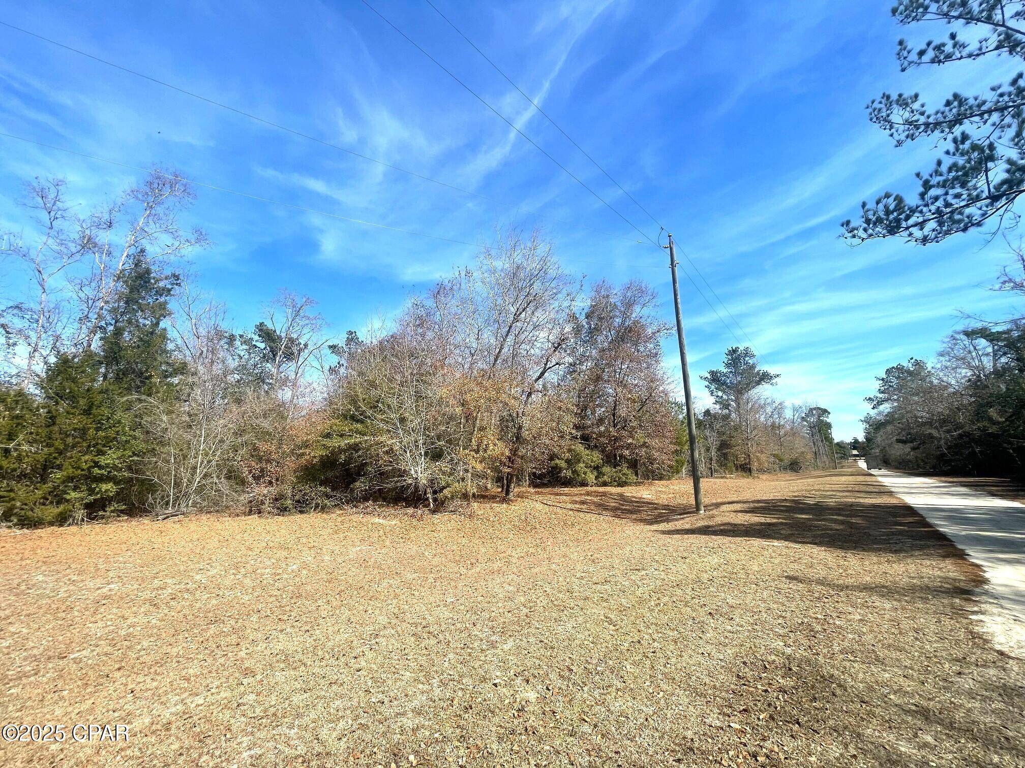 Marianna, FL 32448,Lot 1 Whitetail DR