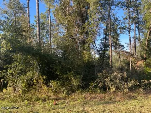 Alford, FL 32420,567 Los Padres AVE