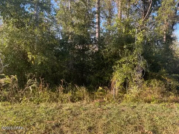 Alford, FL 32420,567 Los Padres AVE